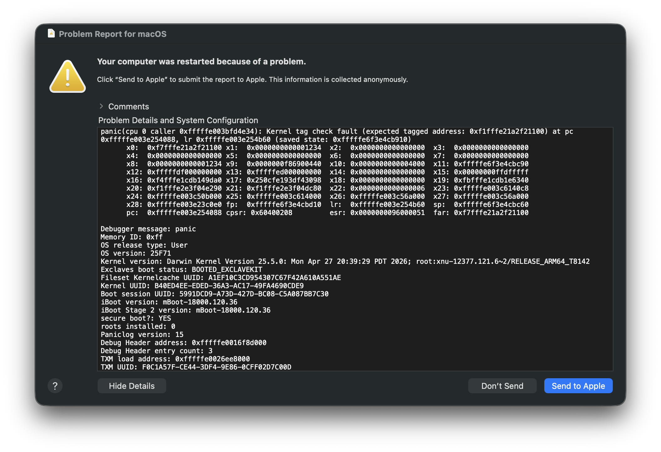 Original macOS problem report for an MTE kernel tag check fault